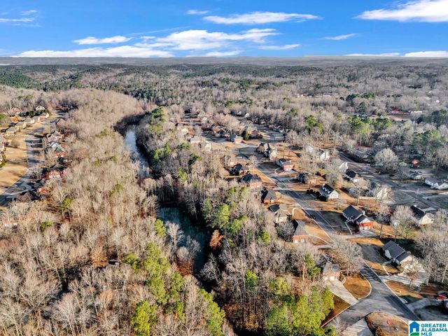 6220 DORSETT WOODS DRIVE, Mount Olive, AL 35117