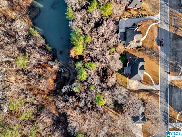 6220 DORSETT WOODS DRIVE, Mount Olive, AL 35117