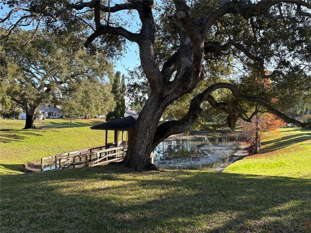 317 PLYMOUTH STREET, Safety Harbor, FL 34695