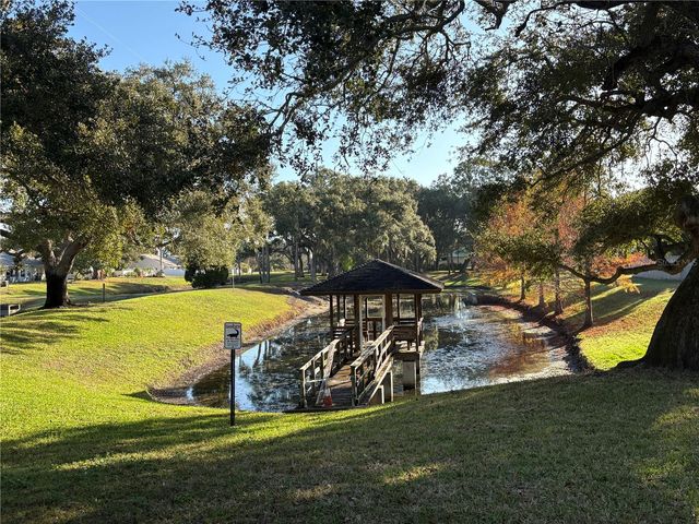 317 PLYMOUTH STREET, Safety Harbor, FL 34695