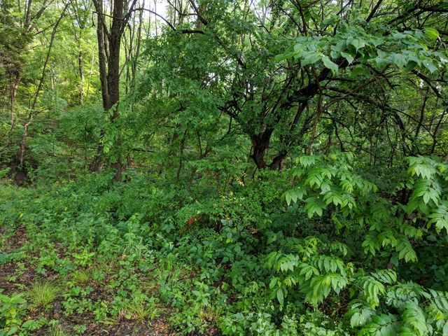 5310 Hidden Court, Garland, TX 75043