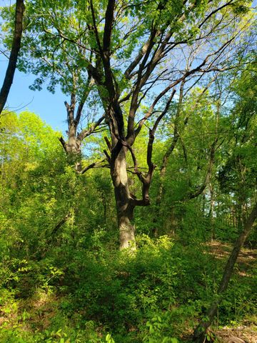 5310 Hidden Court, Garland, TX 75043