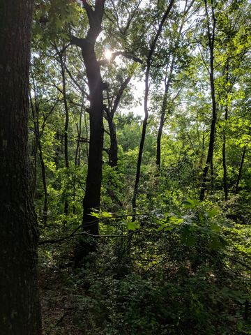 5310 Hidden Court, Garland, TX 75043