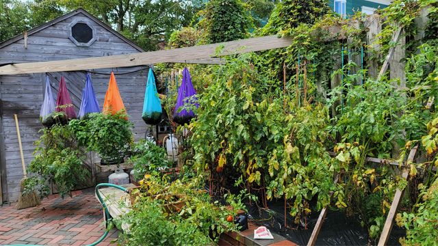 155 Beach 127th Street, Belle Harbor, NY 11694