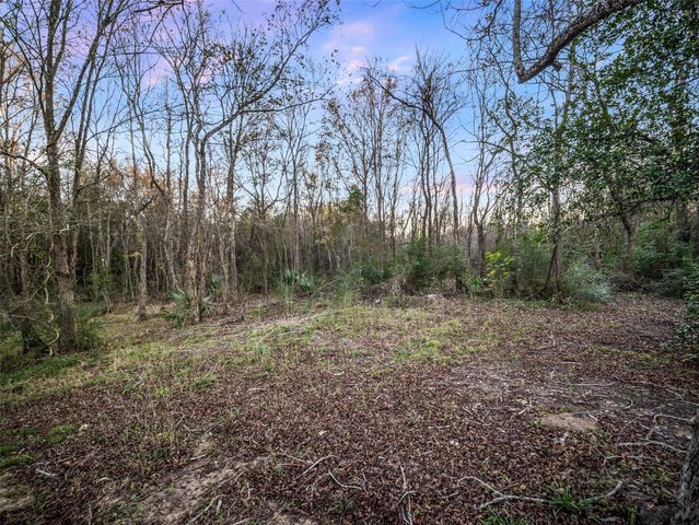 390 Martin Luther King Road, Liberty, TX 77575