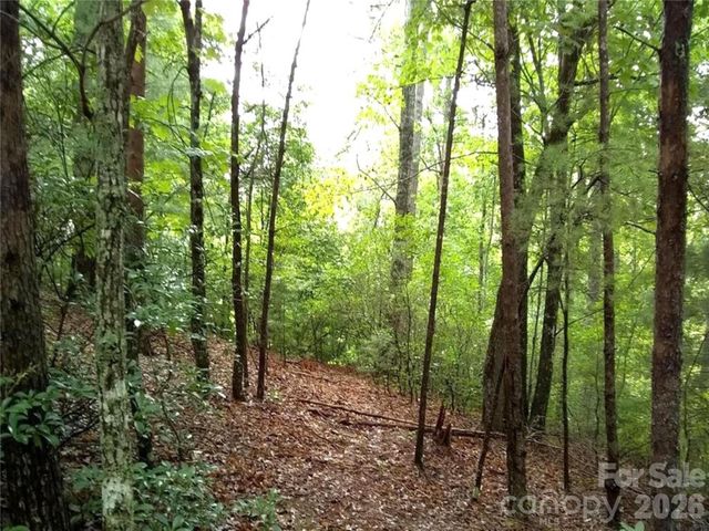 0 Hilltop None 41, Lake Lure, NC 28746