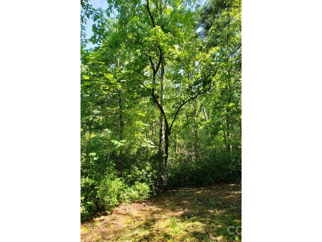 0 Hilltop None 41, Lake Lure, NC 28746