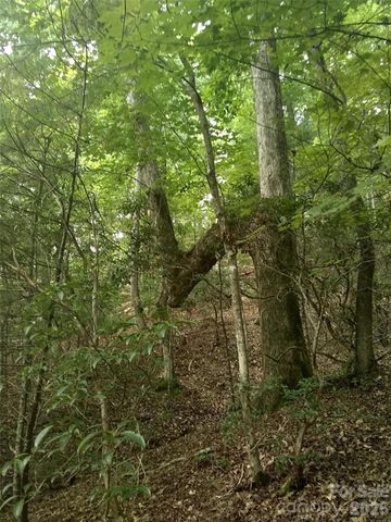 0 Hilltop None 41, Lake Lure, NC 28746