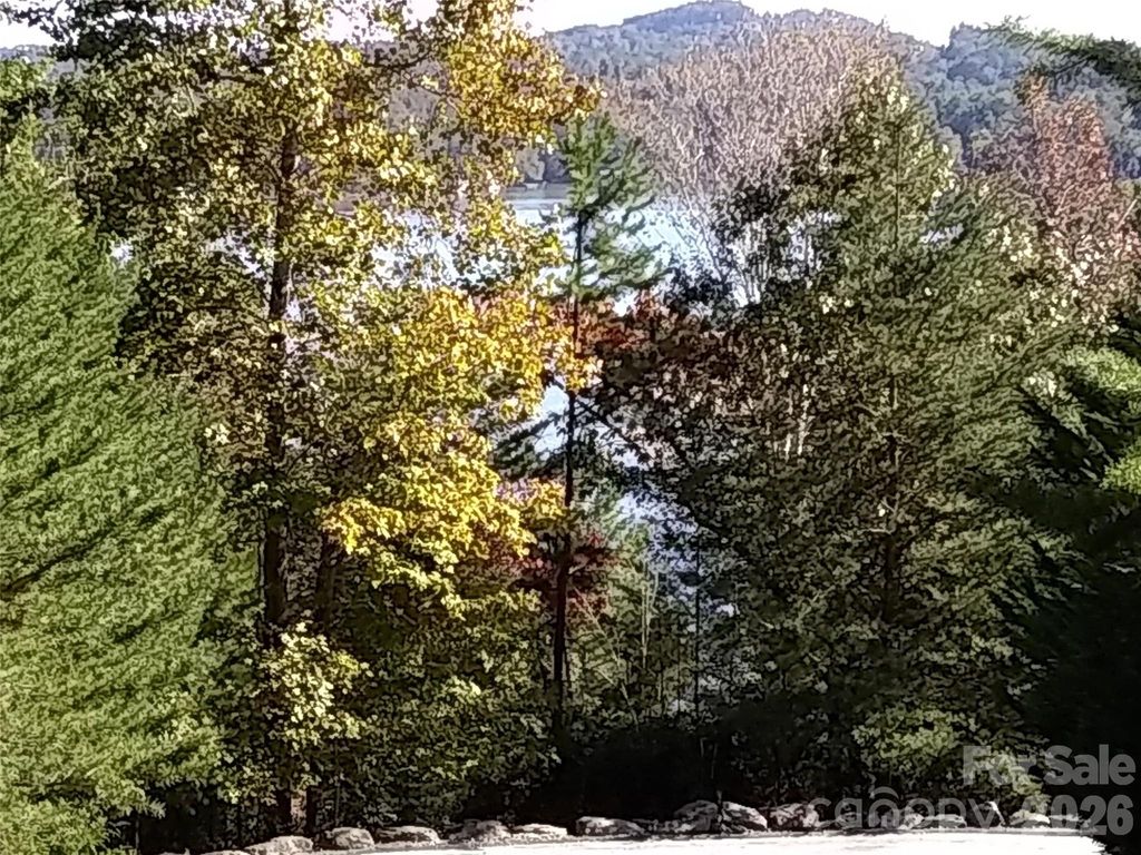 0 Hilltop None 41, Lake Lure, NC 28746