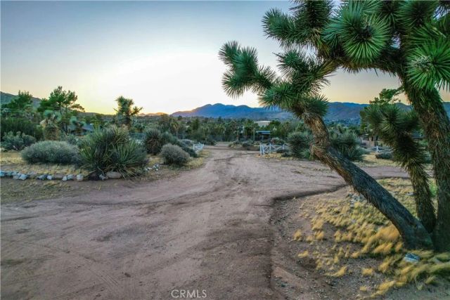 7985 Deer Trail, Yucca Valley, CA 92284