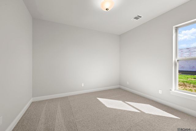 36130 Belle Parc Ave, Geismar, LA 70734