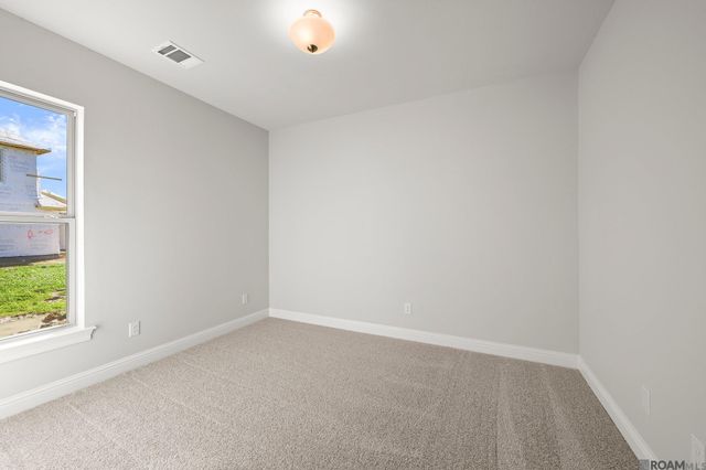 36130 Belle Parc Ave, Geismar, LA 70734
