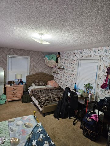26188 Beech Circle, Abingdon, VA 24211