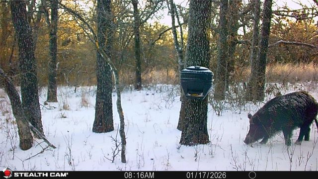 53 AC CR 3757, Springtown, TX 76082