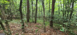 LOT 44 Old Mill Pond Road, Mineral Bluff, GA 30559