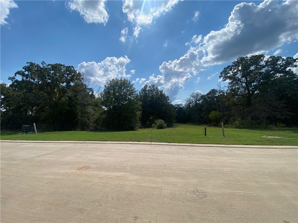 1718 Hidalgo Pass Court, College Station, TX 77845