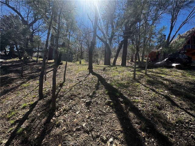 0 Oriole Road, Wrightwood, CA 92397