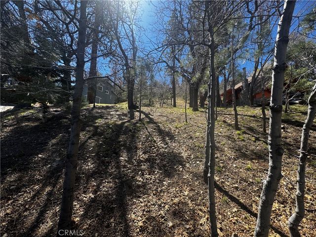 0 Oriole Road, Wrightwood, CA 92397
