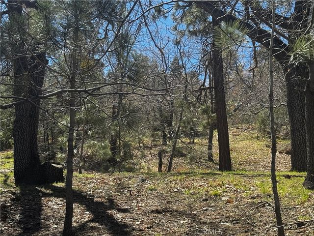 0 Oriole Road, Wrightwood, CA 92397