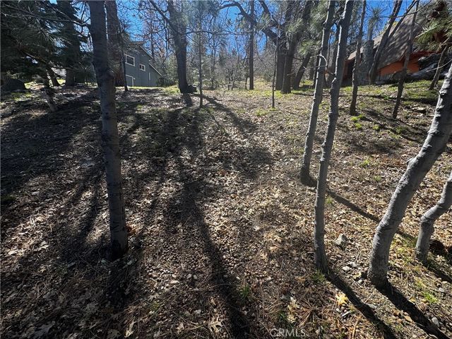 0 Oriole Road, Wrightwood, CA 92397