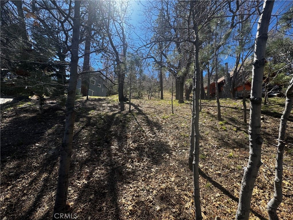 Image 2 of property listing at 0 Oriole Road, Wrightwood, CA 92397