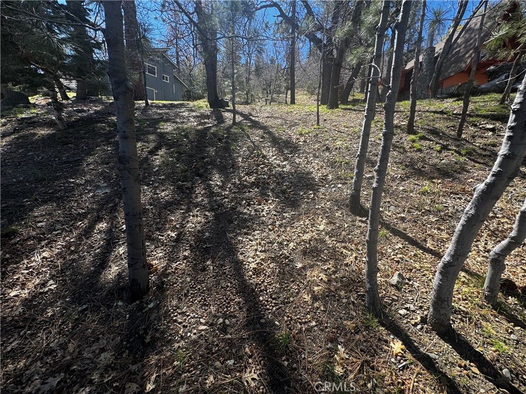 Image 7 of property listing at 0 Oriole Road, Wrightwood, CA 92397