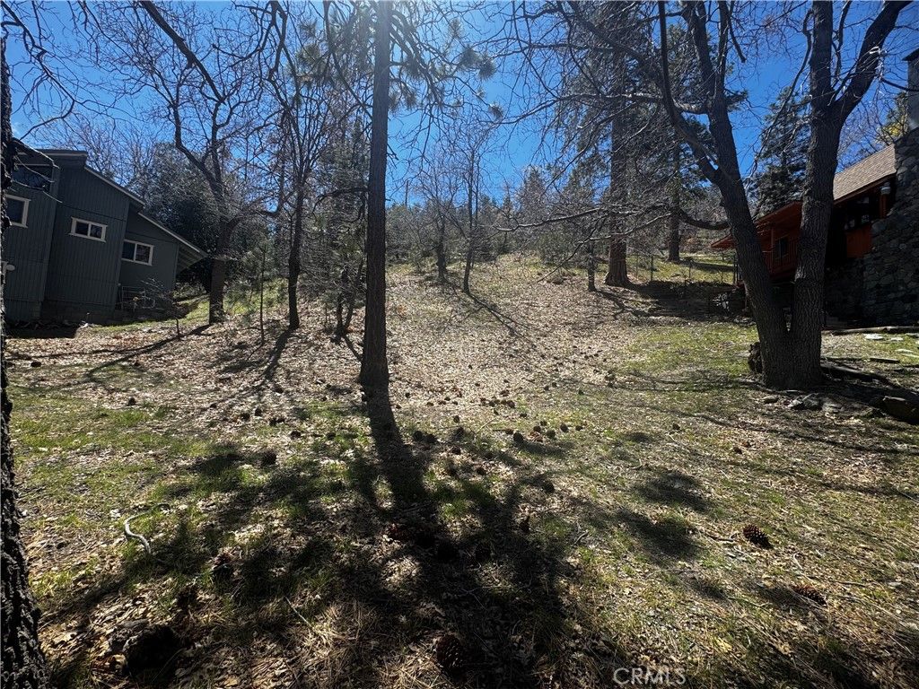 Image 8 of property listing at 0 Oriole Road, Wrightwood, CA 92397