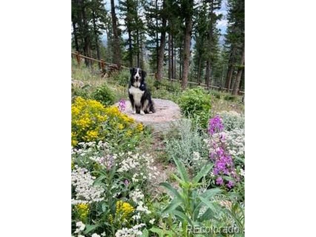 116 Ramona Rd, Golden, CO 80403