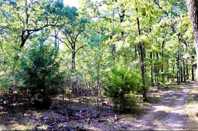 801 Wood Duck Trace, Quinlan, TX 75474