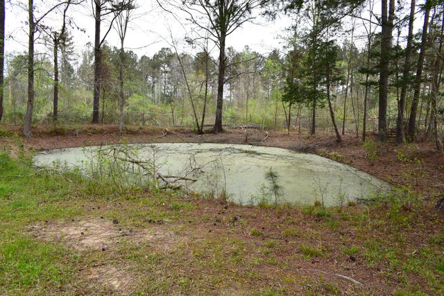 10656 Macon Highway, Jewell, GA 31045