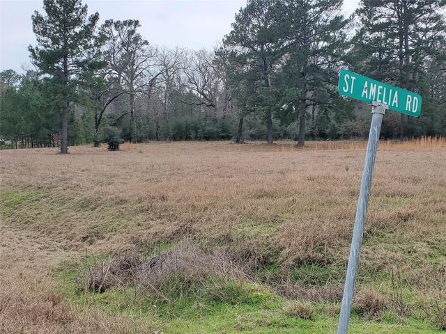 Lot 1 & 2 Oakley Road Road, Trinity, TX 75862