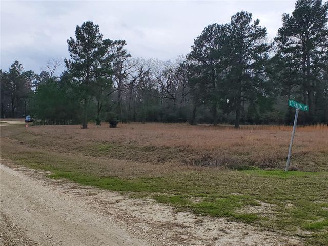Lot 1 & 2 Oakley Road Road, Trinity, TX 75862