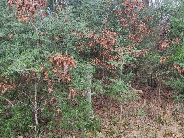 Lot 1 & 2 Oakley Road Road, Trinity, TX 75862