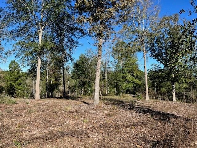 TDB LOT 29 Addison Rd, Livingston, TX 77351