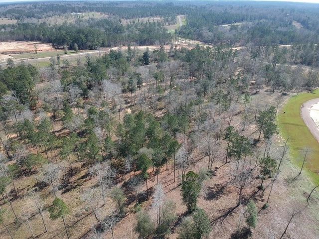 TDB LOT 29 Addison Rd, Livingston, TX 77351