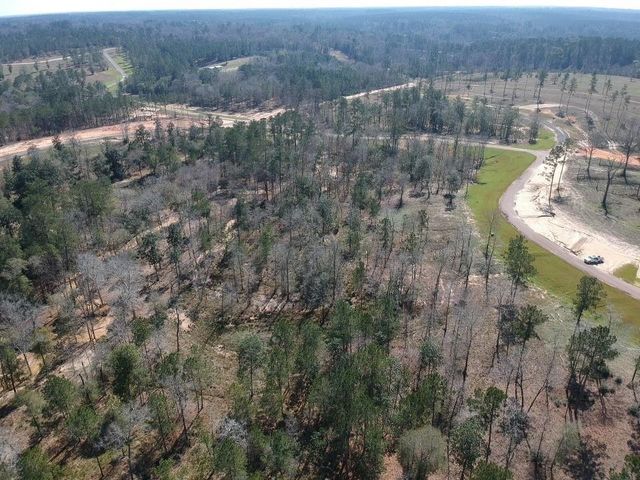 TDB LOT 29 Addison Rd, Livingston, TX 77351