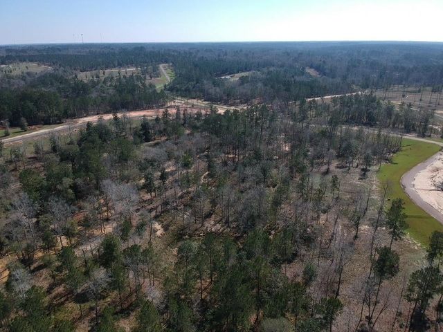 TDB LOT 29 Addison Rd, Livingston, TX 77351