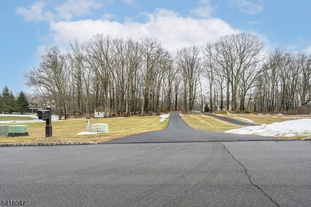 3 Tara Ct, Hardwick Twp., NJ 07825