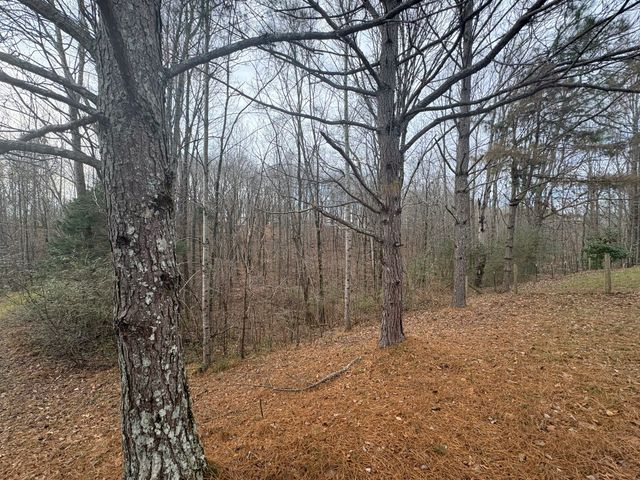 149 Annette Ln, Leoma, TN 38468