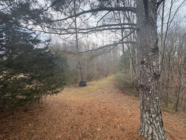 149 Annette Ln, Leoma, TN 38468