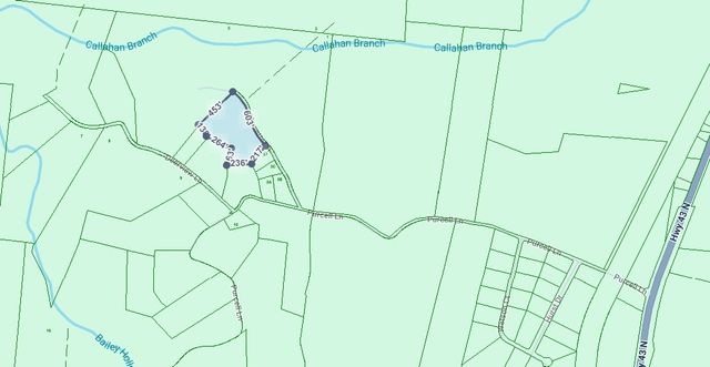 149 Annette Ln, Leoma, TN 38468