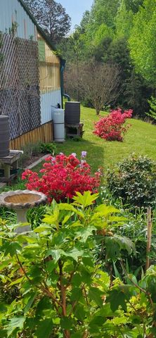 149 Annette Ln, Leoma, TN 38468