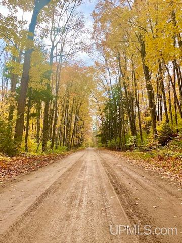 16414 Usfs 2235 Road, Wetmore, MI 49895