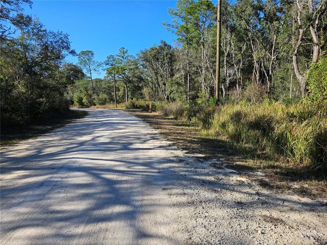 BERRYHILL DRIVE, Webster, FL 33597