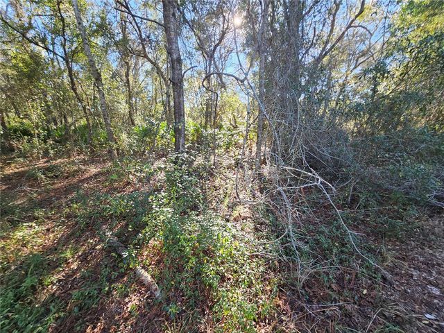 BERRYHILL DRIVE, Webster, FL 33597