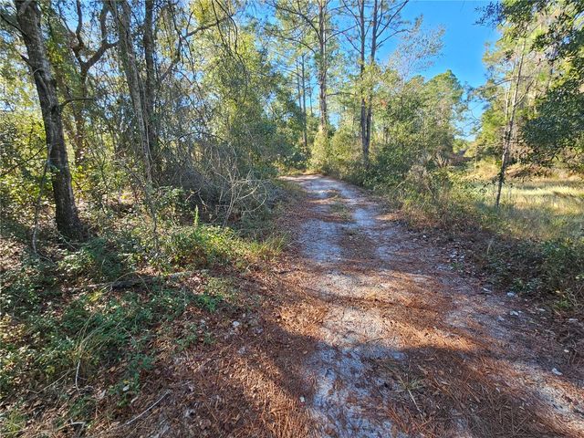 BERRYHILL DRIVE, Webster, FL 33597