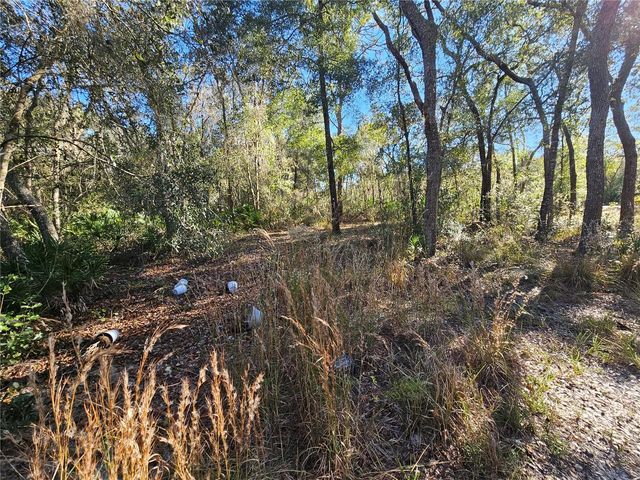 BERRYHILL DRIVE, Webster, FL 33597