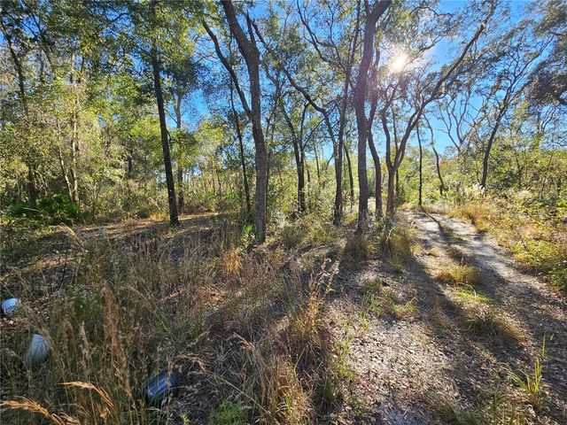 BERRYHILL DRIVE, Webster, FL 33597