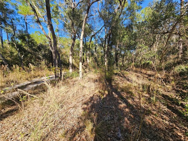 BERRYHILL DRIVE, Webster, FL 33597