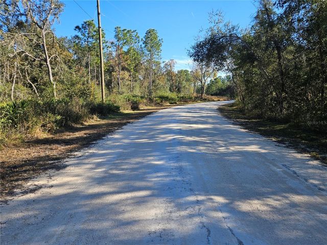 BERRYHILL DRIVE, Webster, FL 33597